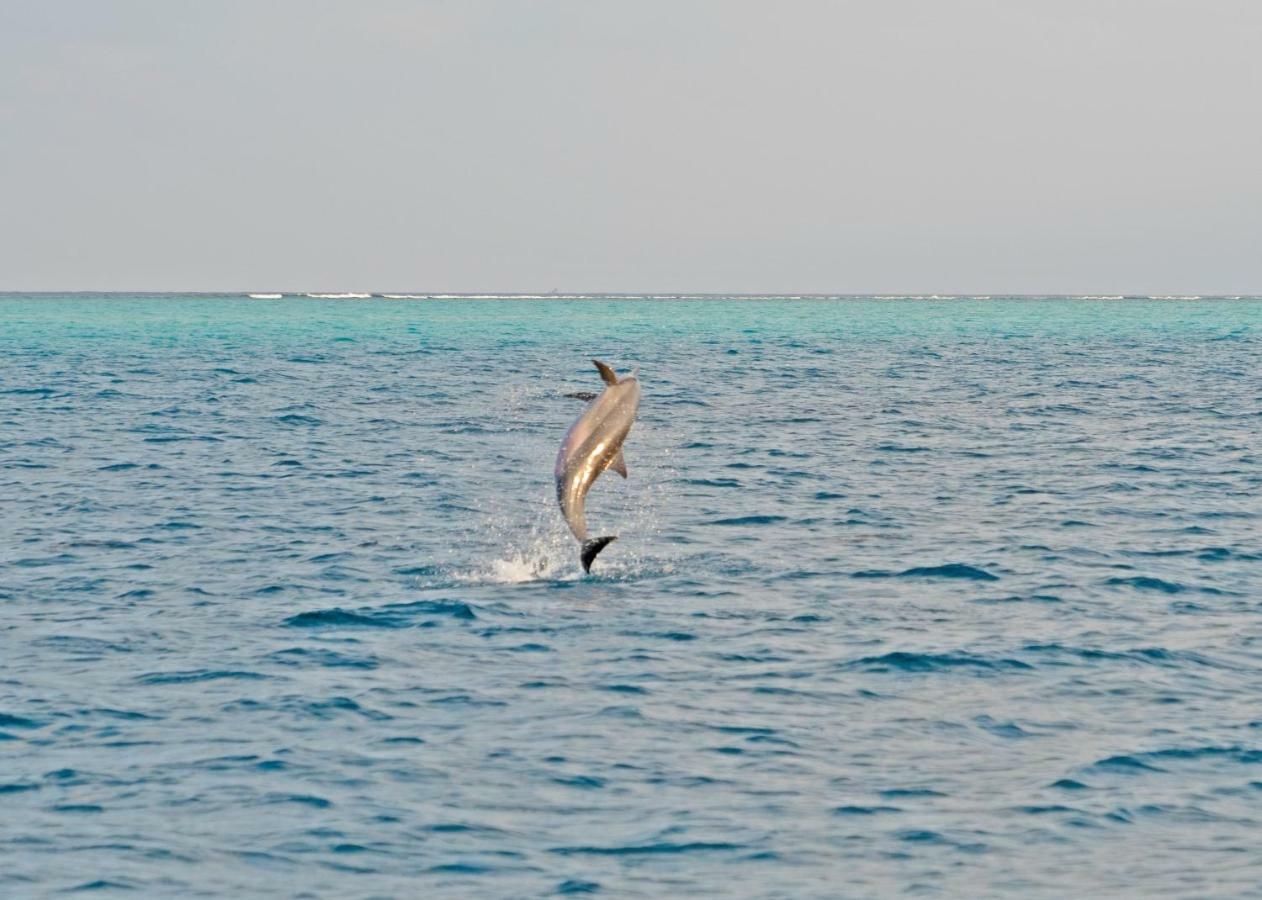 Ocean Village Maldives Holhudhoo Экстерьер фото