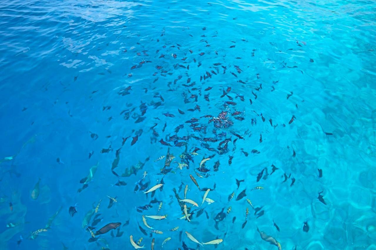 Ocean Village Maldives Holhudhoo Экстерьер фото