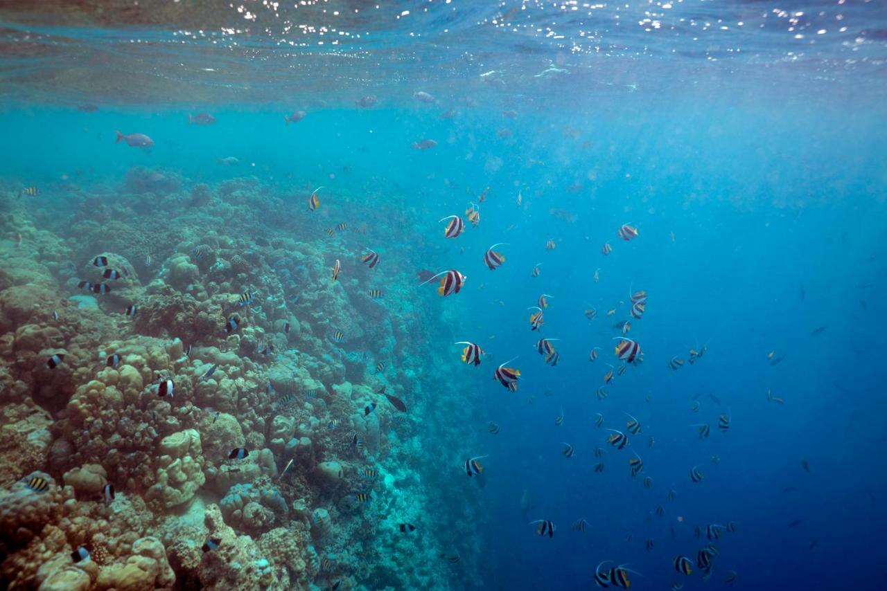 Ocean Village Maldives Holhudhoo Экстерьер фото