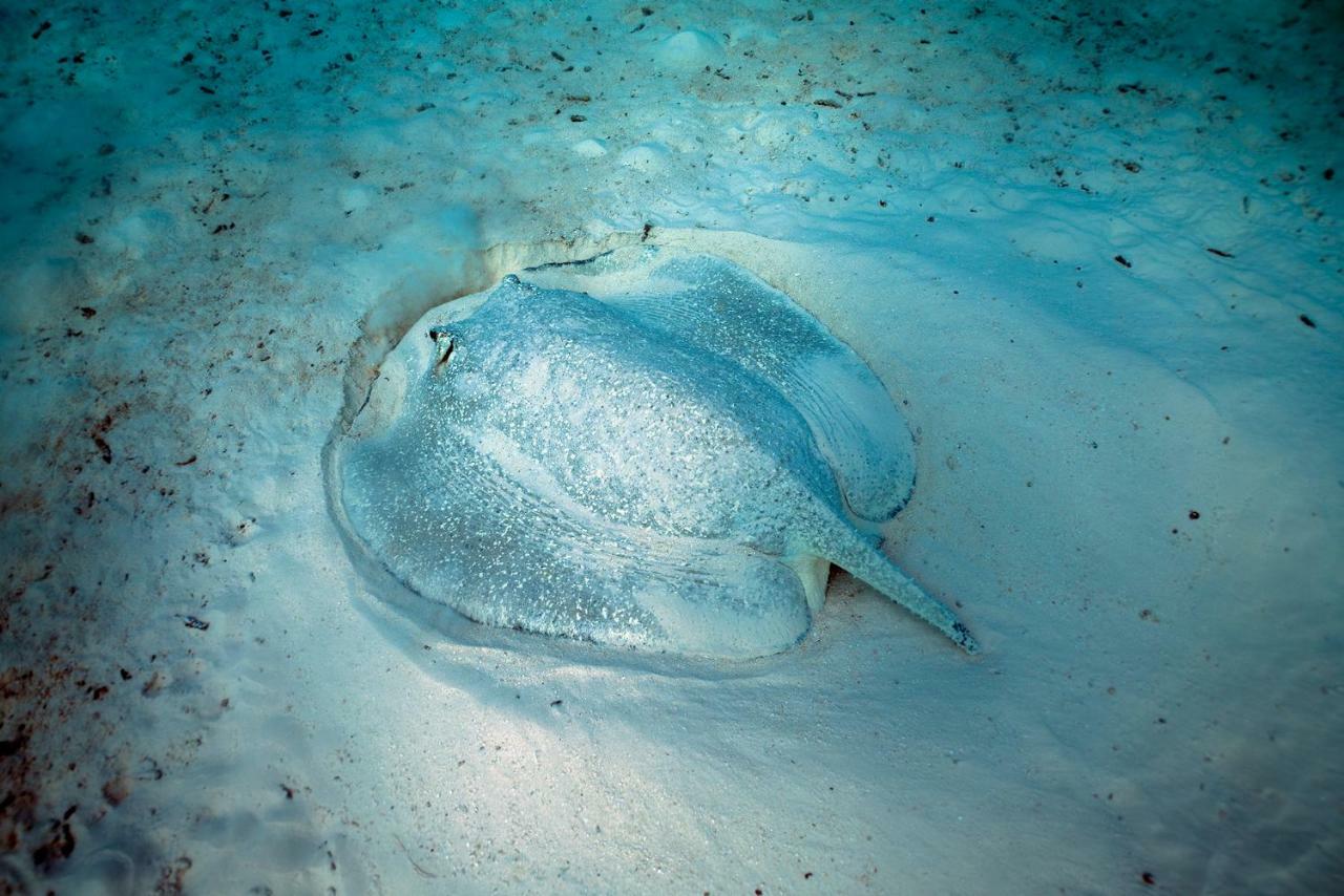 Ocean Village Maldives Holhudhoo Экстерьер фото